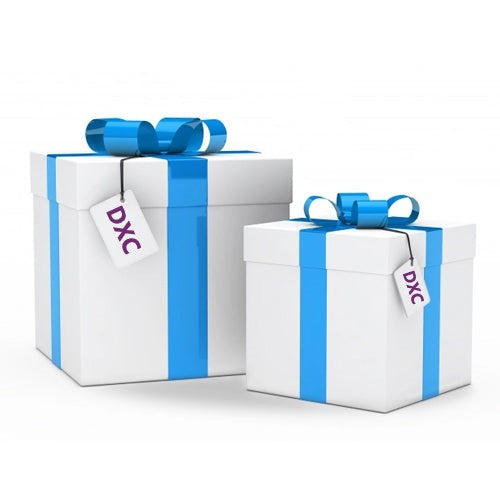 DXC FY26 Q2 Promotion Gift